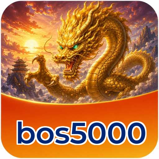 bos5000 Technical Info