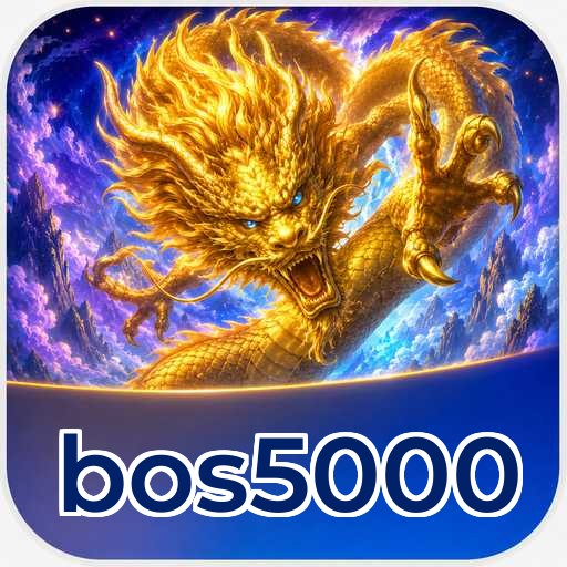 bos5000 Verification