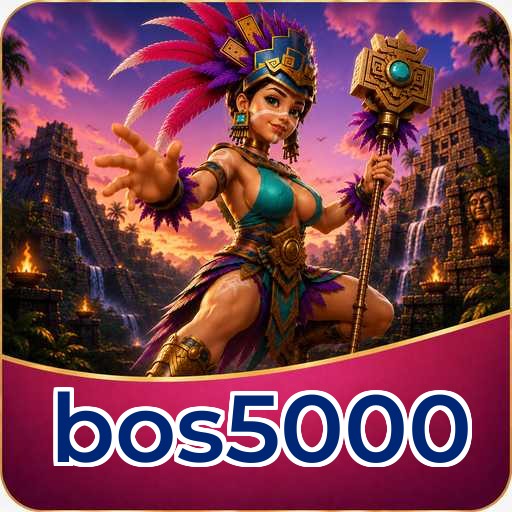 bos5000 Tools