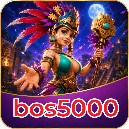 bos5000 Installation