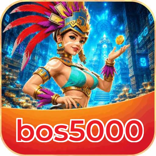 bos5000 Tools
