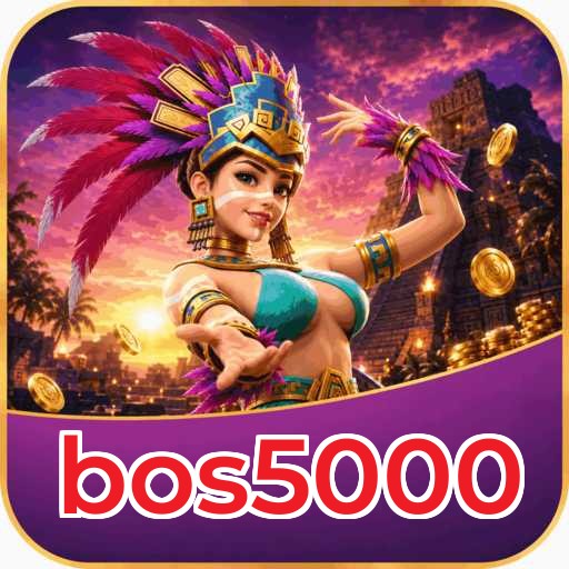 bos5000 Tools