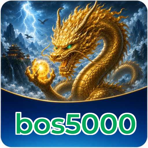 bos5000 Verification