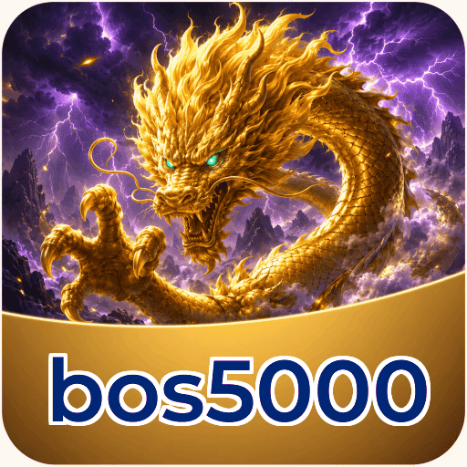bos5000 Technical Info