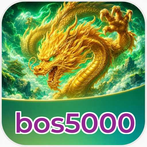 bos5000 Technical Info