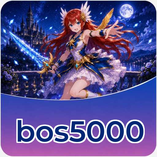 bos5000 Tools