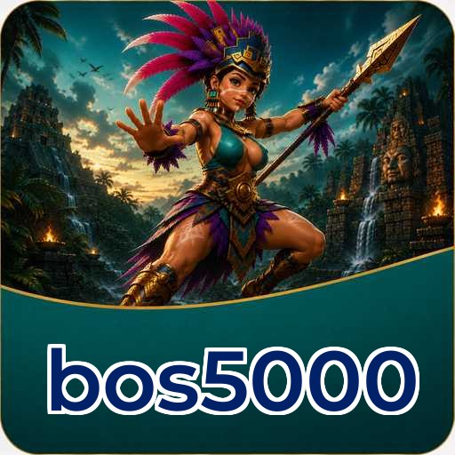 bos5000 Tools
