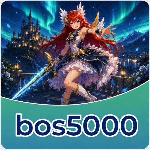 bos5000 Tools