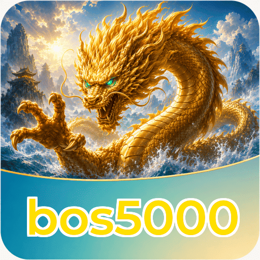 bos5000 Technical Info