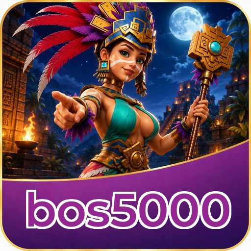bos5000 APK Structure