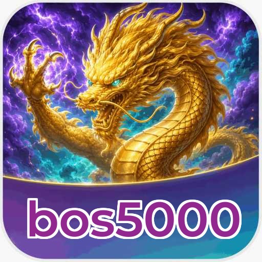 bos5000 Verification